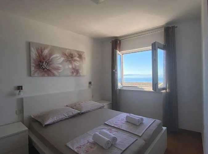 公寓 Nika 德朗西斯