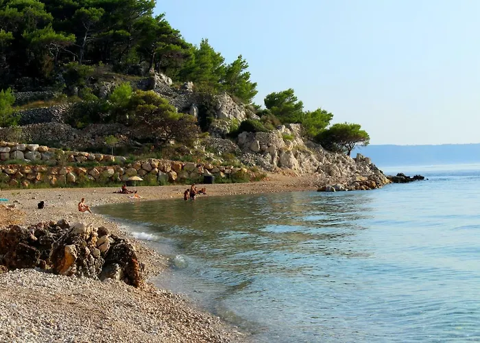 Nika * 드라슈니체