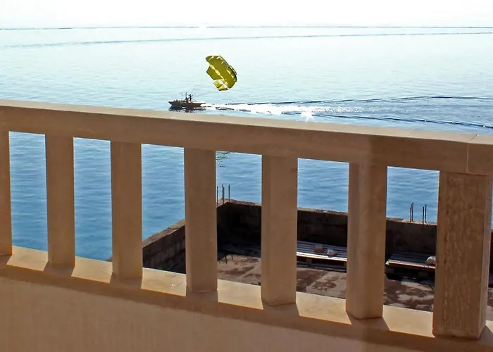 Nika * 드라슈니체